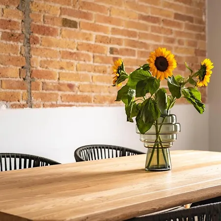 Aspasios Garden Appartement *